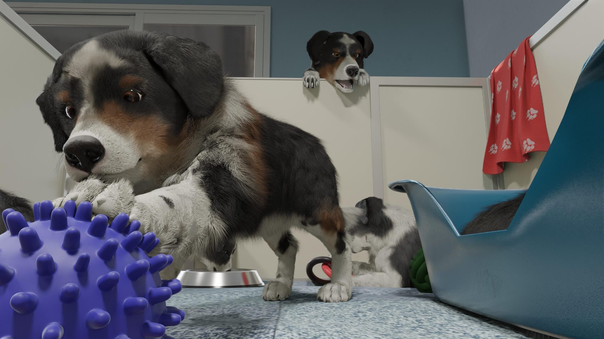 Dog Trainer Announced, Looks Familiar But Adorable